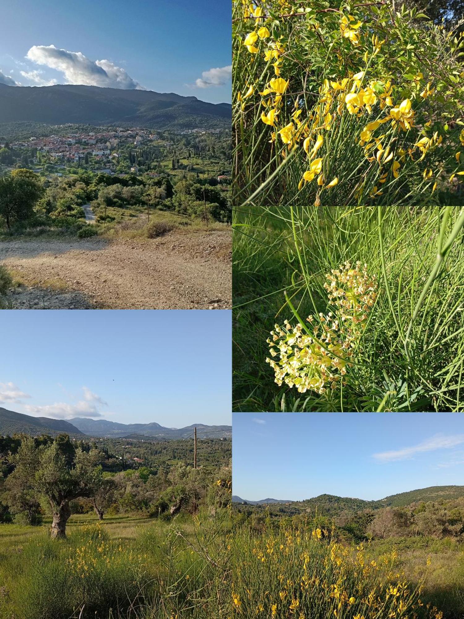 La Nature Konistres Buitenkant foto